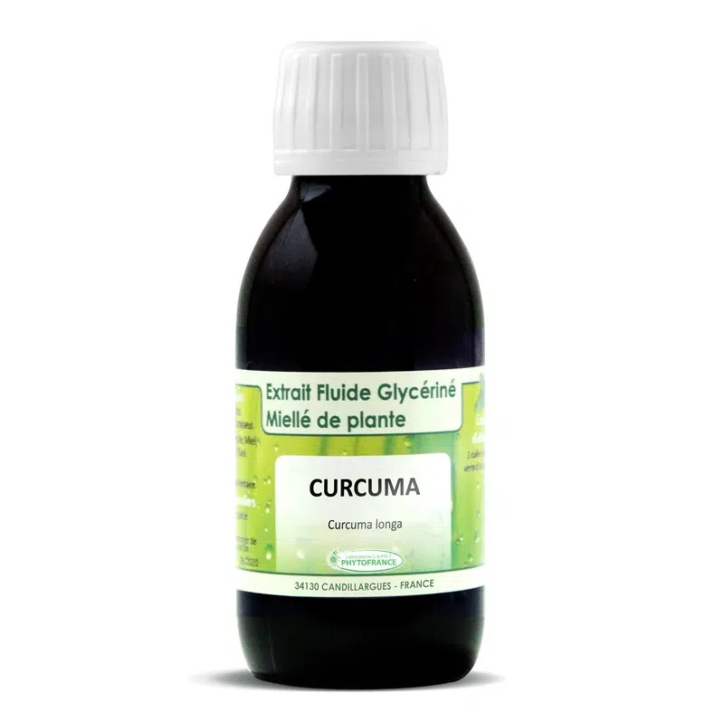 Curcuma Extrait Fluide (EFGM) bio