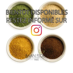 Bambou Tabashir en poudre