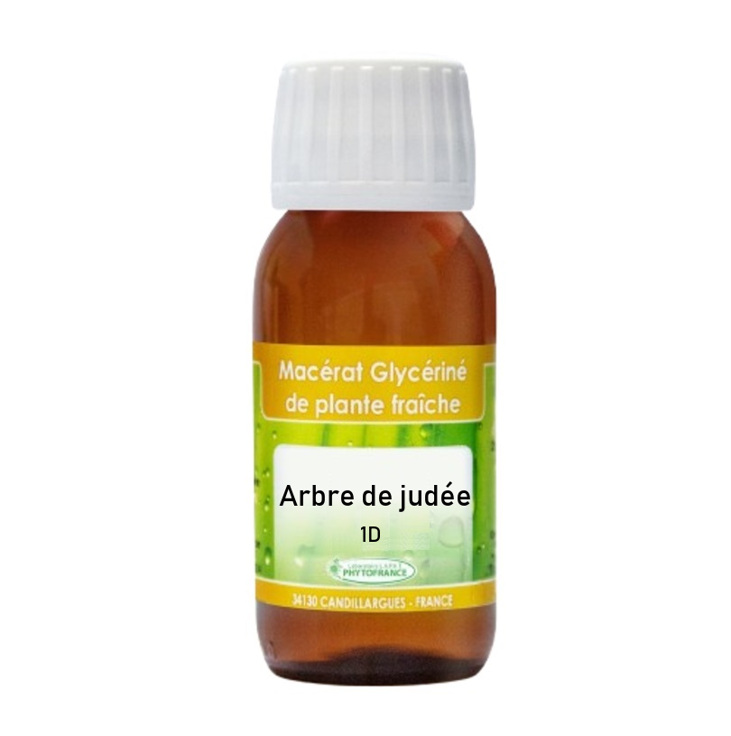 Macérat glycériné d’Arbre de judée 1DH
