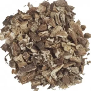 Bardane – racine – bio