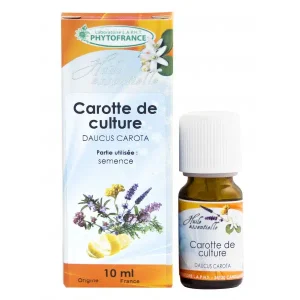 Huile Essentielle Carotte – Bio