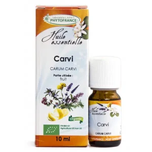 Huile Essentielle Carvi – Bio
