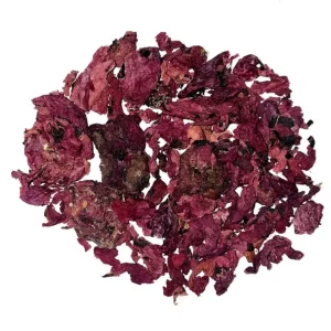 Coquelicot – pétales entières – bio