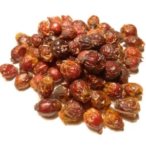 Cynorrhodon – fruit entier – Bio