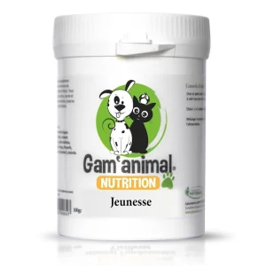 Gam’animal nutrition jeunesse
