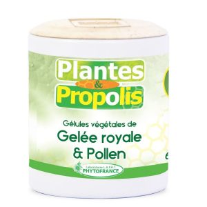 Gelée royale et pollen