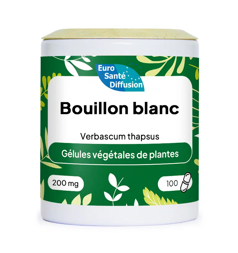 Gélules de Bouillon blanc