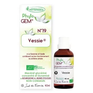 Vessie saine Phyto’gem
