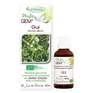 Gui bio – Gemmothérapie