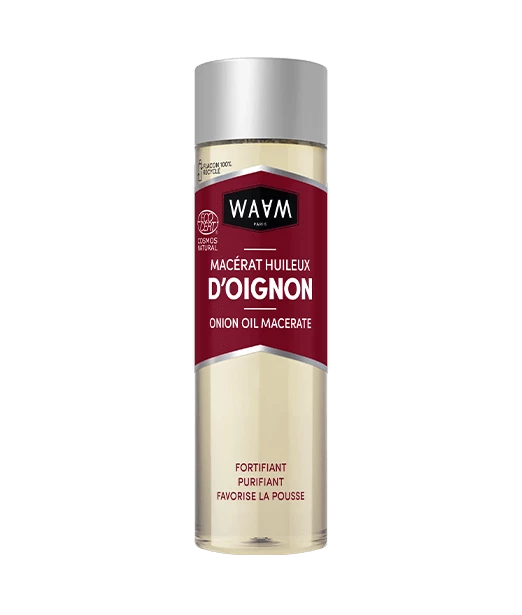 Macérat huileux d’Oignon