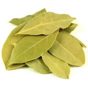 Laurier sauce – feuilles – Bio