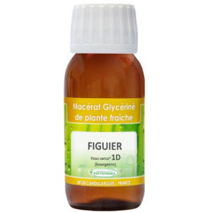Macérat glycériné de Figuier 1DH
