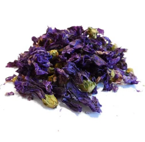 Mauve – fleur – Bio