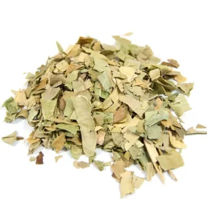 Oranger bigaradier – Bio