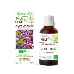 Arbre de judée bio – Gemmothérapie