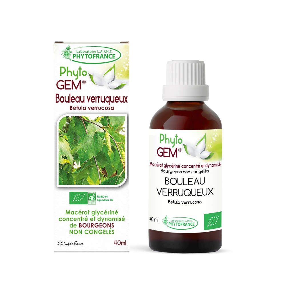 Bouleau verruqueux bio – Gemmothérapie