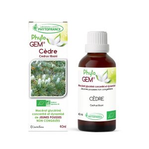 Cèdre du Liban Bio – Gemmothérapie