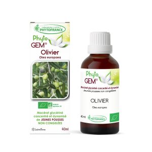 Olivier – Gemmothérapie