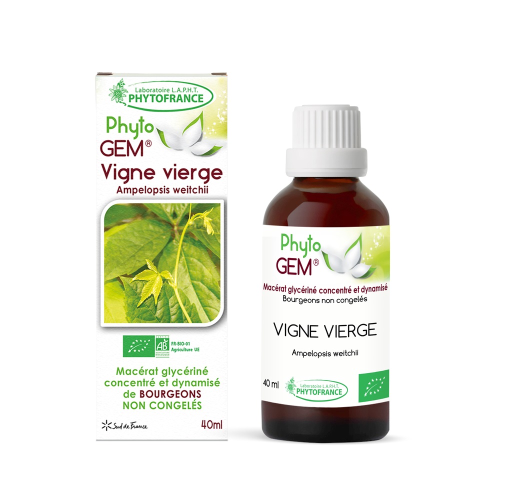 Vigne vierge Bio – Gemmothérapie