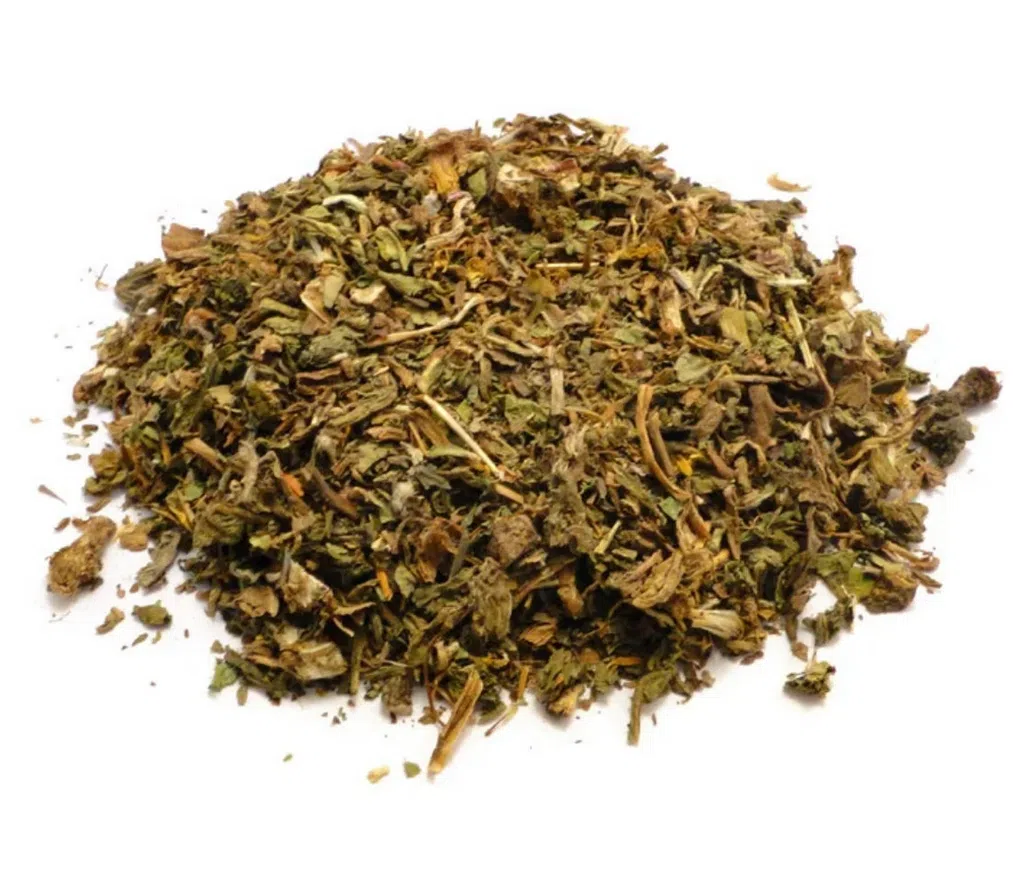 Pissenlit – feuilles coupées – bio