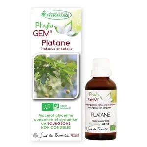 Platane bio – Gemmothérapie