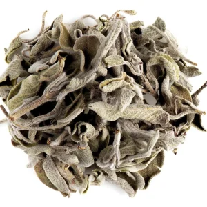 Sauge officinale – Bio