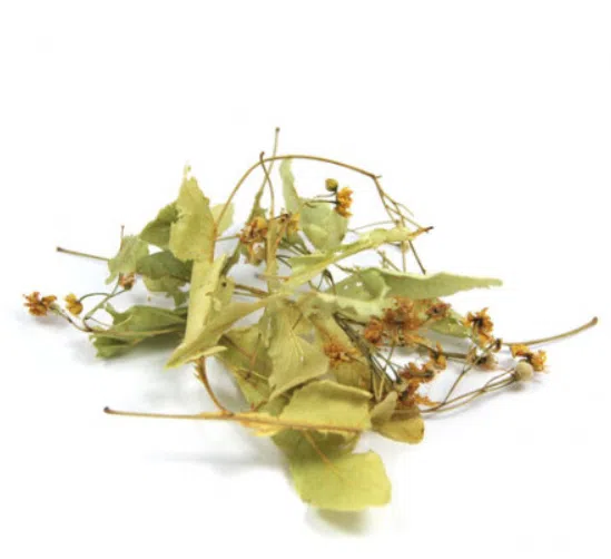 Tilleul de Carpentras – bractées 1er choix – Bio