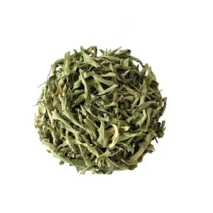 Verveine odorante feuille – Bio