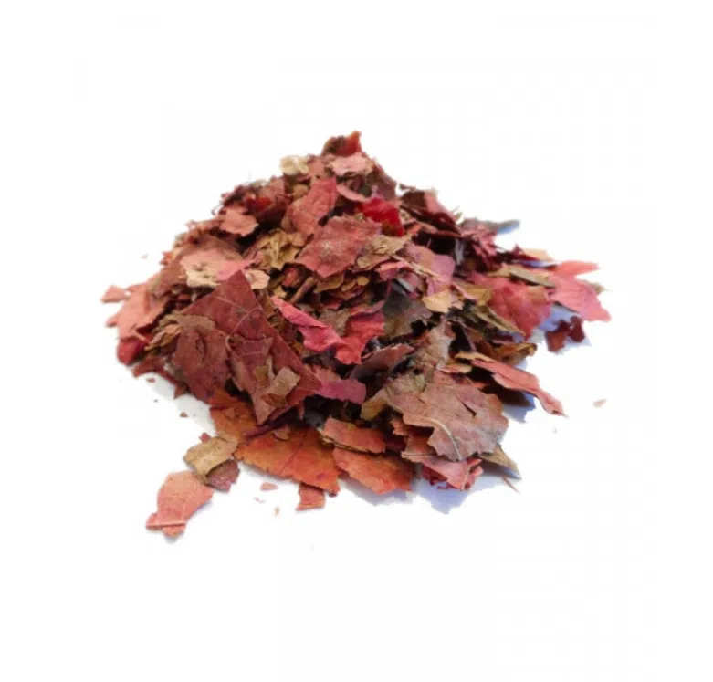 Vigne rouge – feuilles coupées – Bio