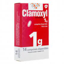 CLAMOXYL 1 g