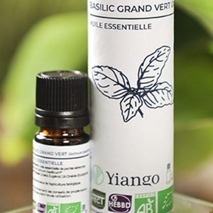 Huile essentielle Basilic Grand Vert bio – 5ml