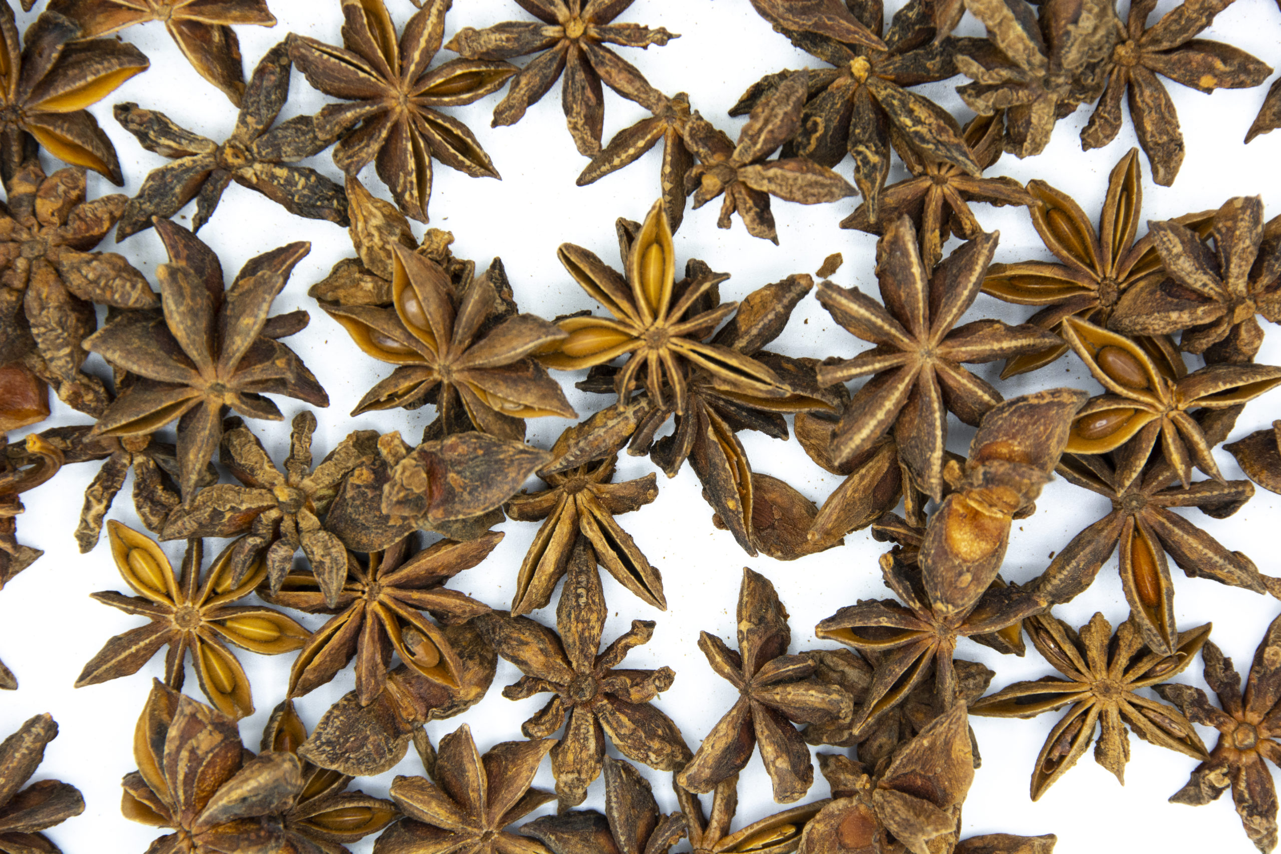 Badiane ou Anis étoilé – bio