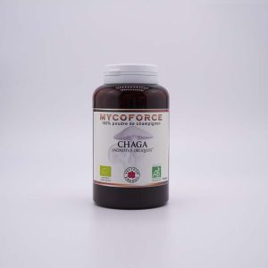 Chaga