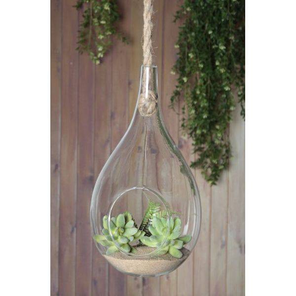 TERRARIUM LARME 15″