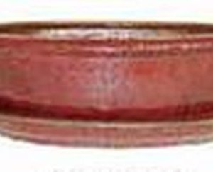 Pot à Bonsaï terre cuite glacée 25cm