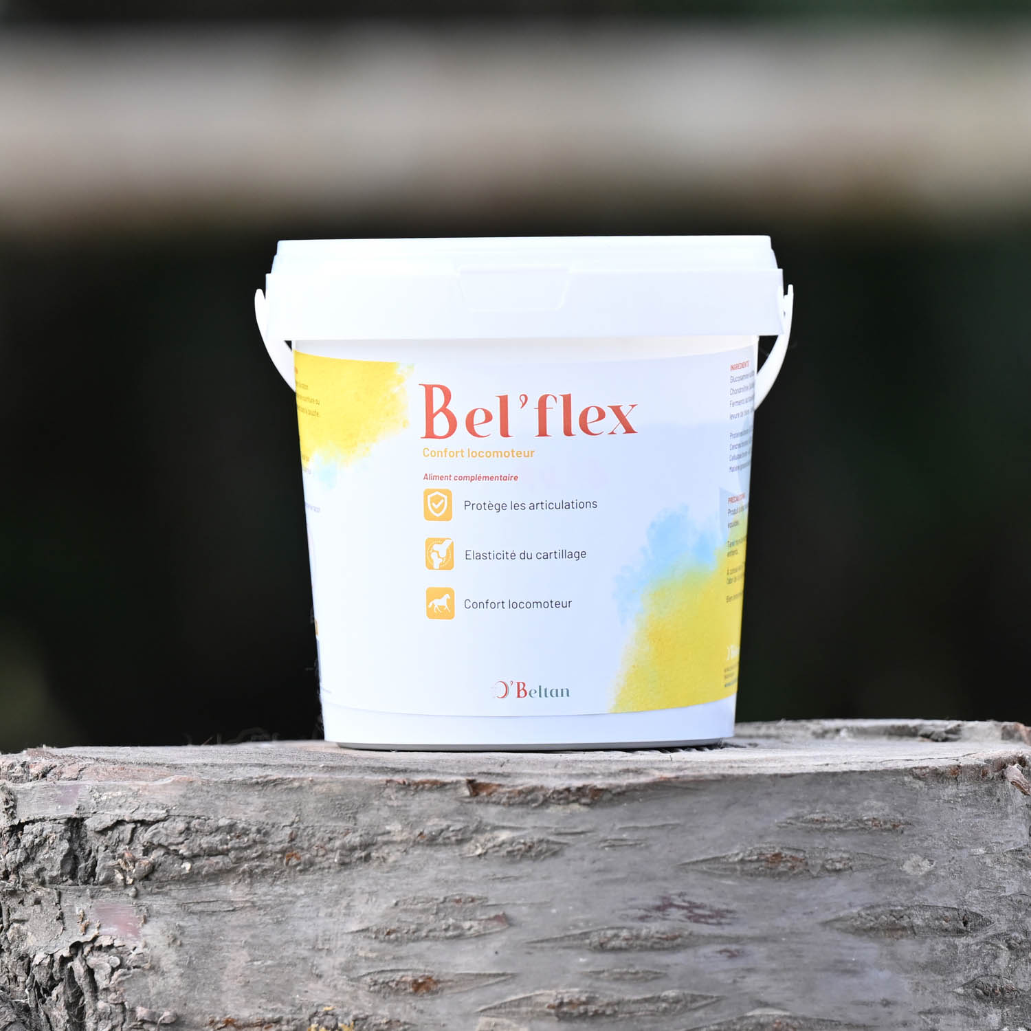 Bel’flex