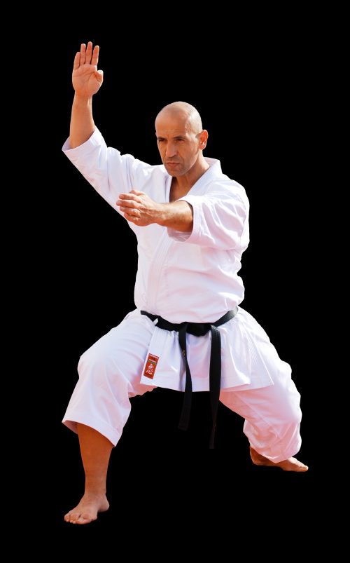 Kimono de karaté Mushin Special edition 2020 Kamikaze Prix : 109,00 euros – Image 6