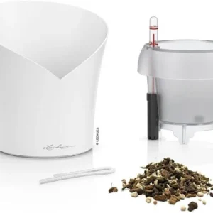 LECHUZA Pot orchidee tout-en-un